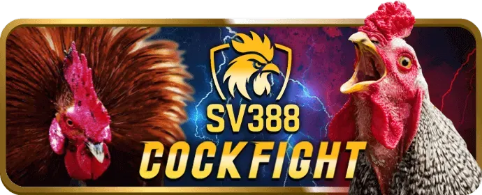 Cá cược thể thao Vnsoxo